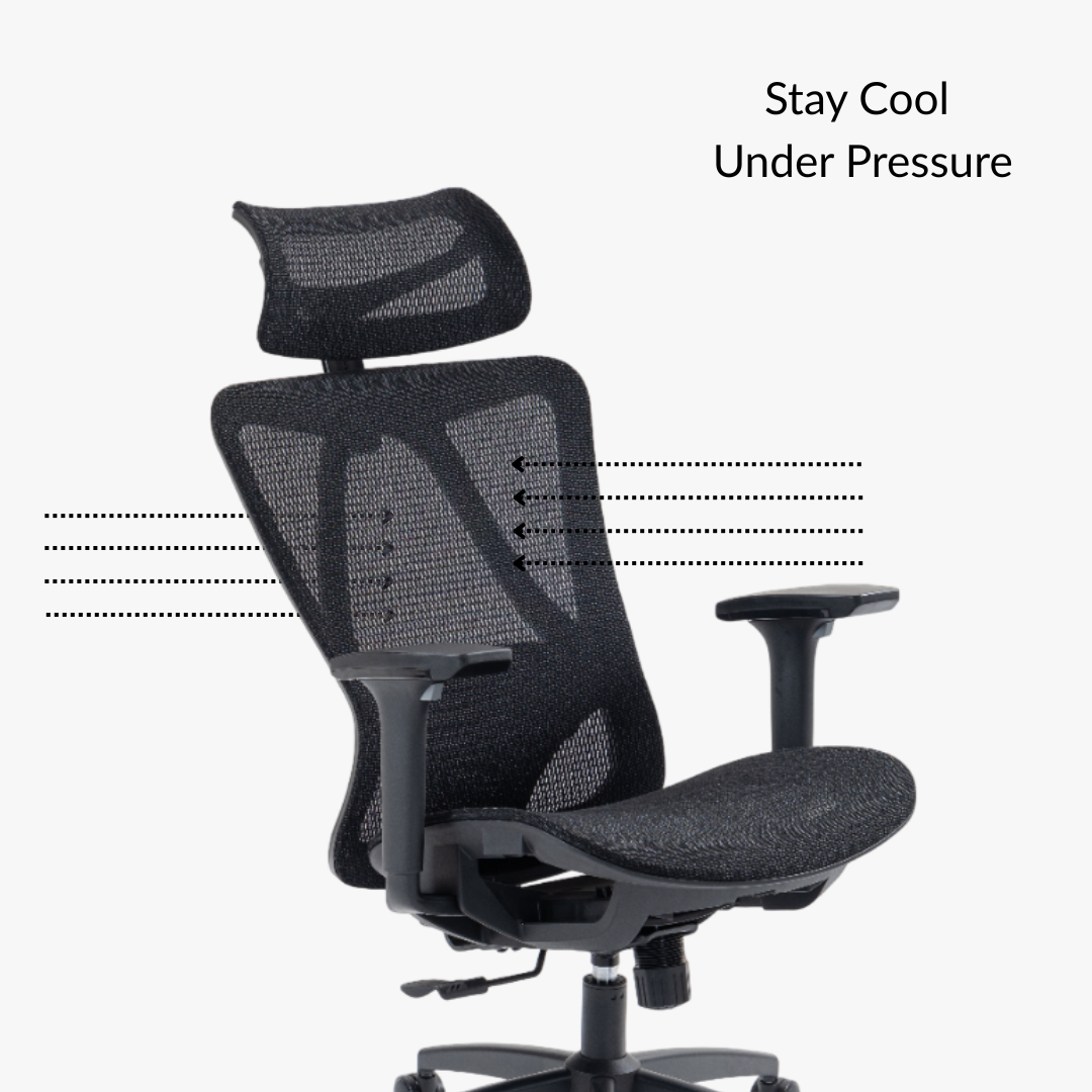 Zenvo Premium Mesh Office Chair