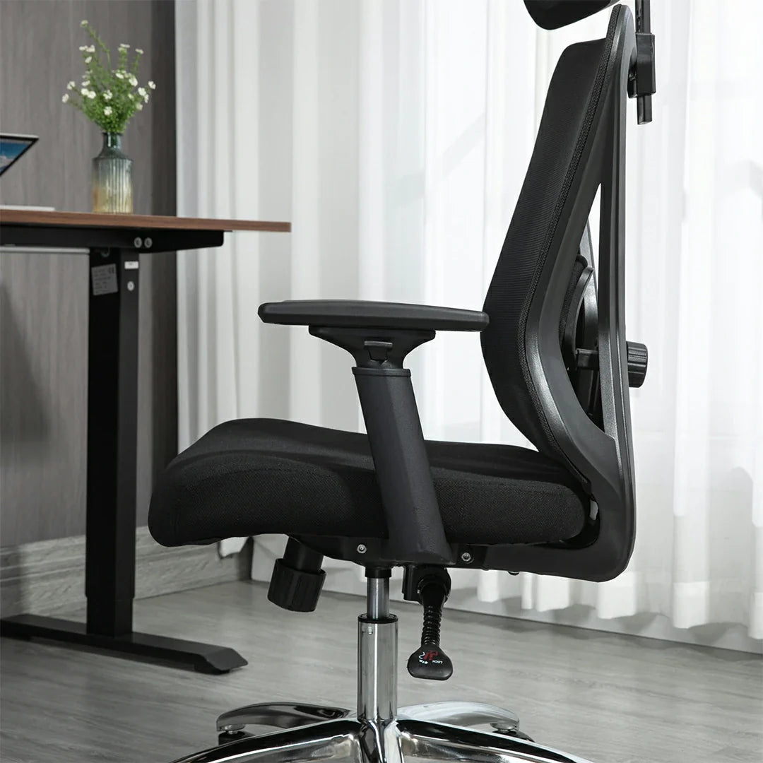 Noosagreen Ergonomic Office Mesh Chair
