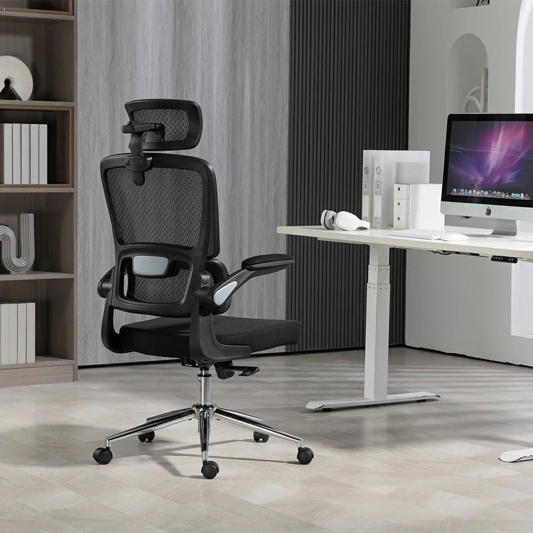 Noosagreen Ergonomic Office Mesh Chairs