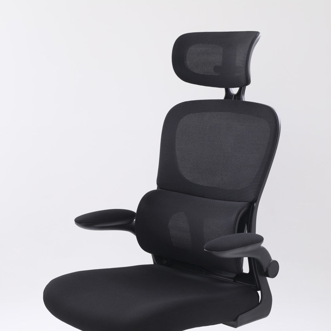 Noosagreen Office Computer Chair