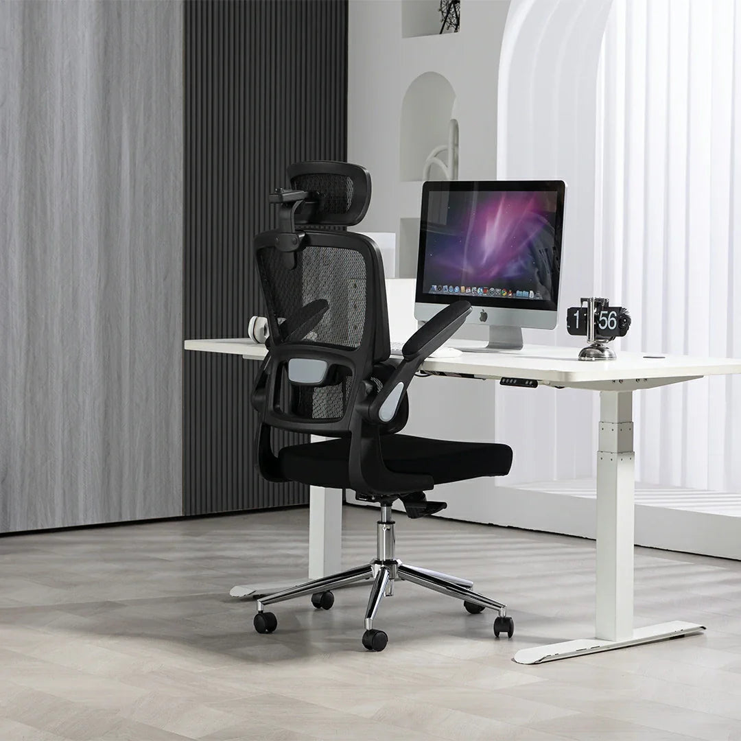 Noosagreen Ergonomic Office Mesh Chairs