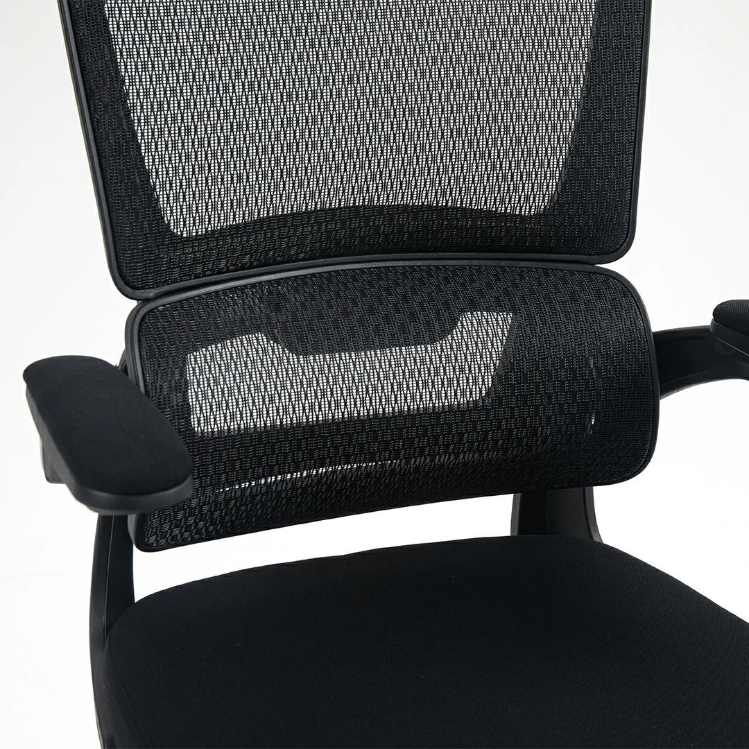 Office Chair w/ Adjustable Headrest with 4D Armrest